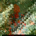 Aveyah Leilani profile icon