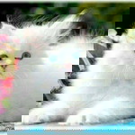 Yenni Thaliya profile icon