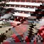 Orawan Tisslee profile icon