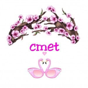 Cmet profile icon