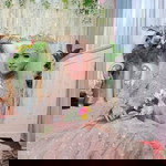 Novita's profile icon