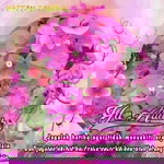 Devan Alfarizi Rhamadani profile icon