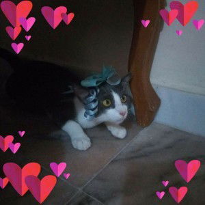 iziyenn profile icon