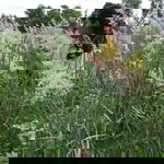 Ploy Chollada profile icon