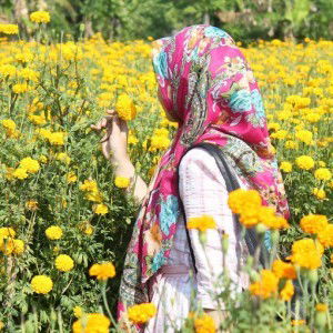 Meli Sulisdiani profile icon