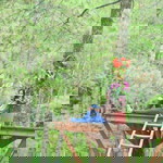 Suci Nadila profile icon