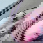 Putria Salsabila profile icon