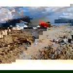 Meyzaluna Frilaney profile icon