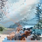 Rini Amanda profile icon