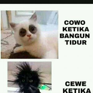 Senantiasa Mengasihi Melinda profile icon