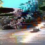 Noora Sofia profile icon