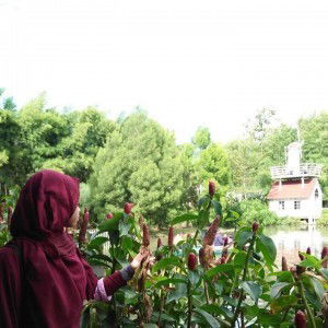 Yanti Solehan profile icon