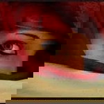 Rei Akane profile icon