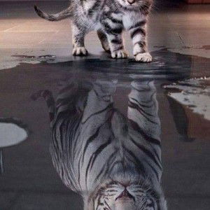 Đức Nam profile icon