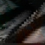 Mary Joy Garces profile icon