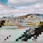 Bifern Moso Fies profile icon