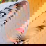 Ninii Dakris profile icon