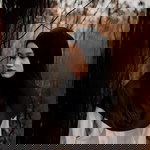 Thanthima Bilanglod profile icon