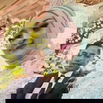 Riza Fransisca profile icon