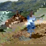 Ian Tian profile icon