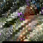 Rattanaporn Rattanapikul profile icon