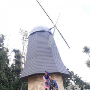 Fatma Aifa profile icon