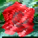 Fitri Dwi Eka Wardani profile icon