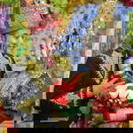 Mely Azini Prastika profile icon