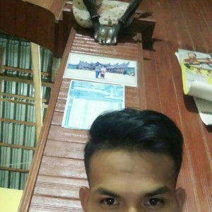 David Saputra profile icon