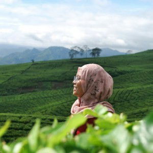 Gian Handini profile icon