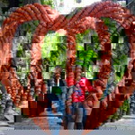 Prachob Rahul profile icon