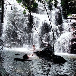 Ebbryle David profile icon