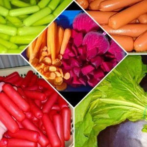 Nuren Alkaff profile icon