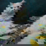 yyan_ j.a profile icon