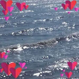 Dung Mac profile icon