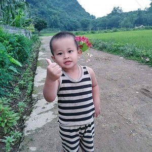 Hoàng Hoài profile icon