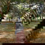 afnan ali profile icon