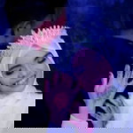 Derrisa Addevaa profile icon