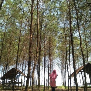 Annur Fitriani profile icon