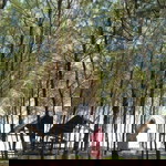 Annur Fitriani profile icon