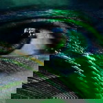 Sanjana Rajan profile icon