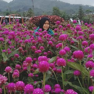 Tri Mefriyanto profile icon