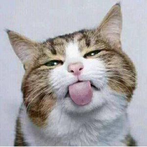 Fitri Andriyani profile icon