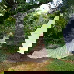 Try Wahyuningsih profile icon