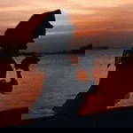 Nur Amira profile icon