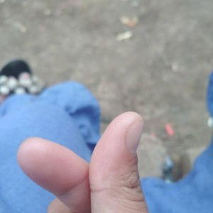 Kartika Febri profile icon