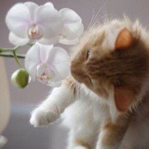 Tanti Wachyana Putri profile icon