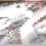 addyz maddyz profile icon