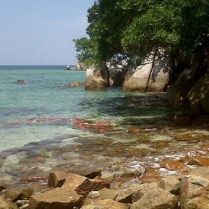 Yurike Wulandini profile icon