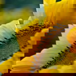 april bucao profile icon